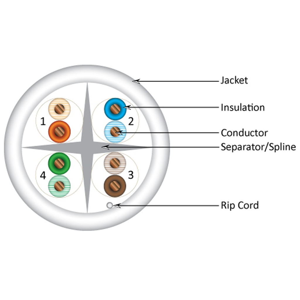 Vertical Cable - CAT6 CMR UTP 550 MHz, 23 AWG, UTP